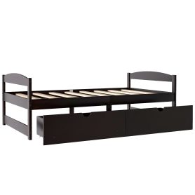 Twin Size Platform Bed With 2 Drawers