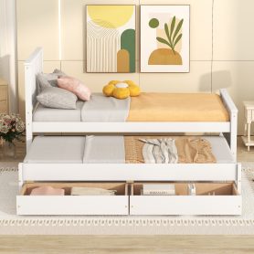 Twin Size Daybed With Trundle And 2 Drawers