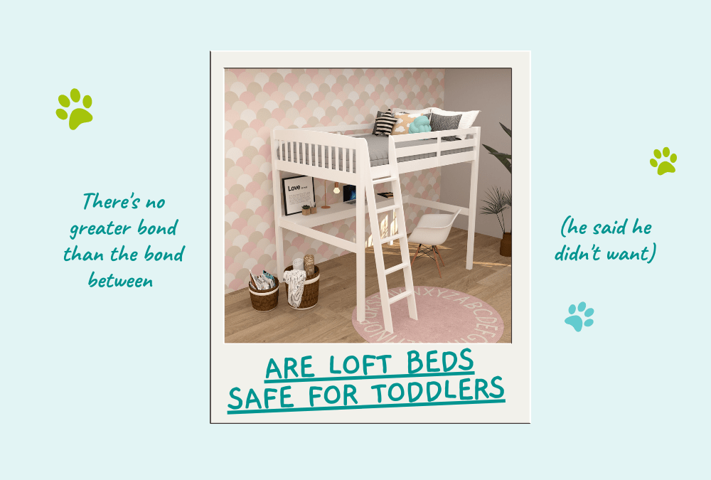 Are Toddler Loft Beds Safe?