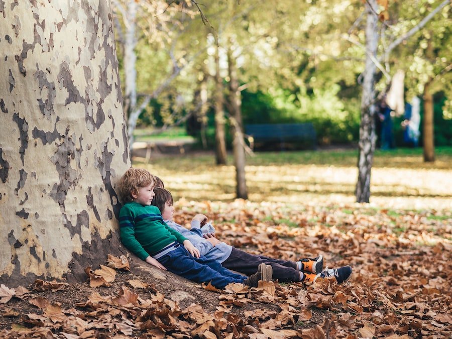 Sleepover Fun: How Bunk Beds for Kids Can Transform Their Bedroom Experience