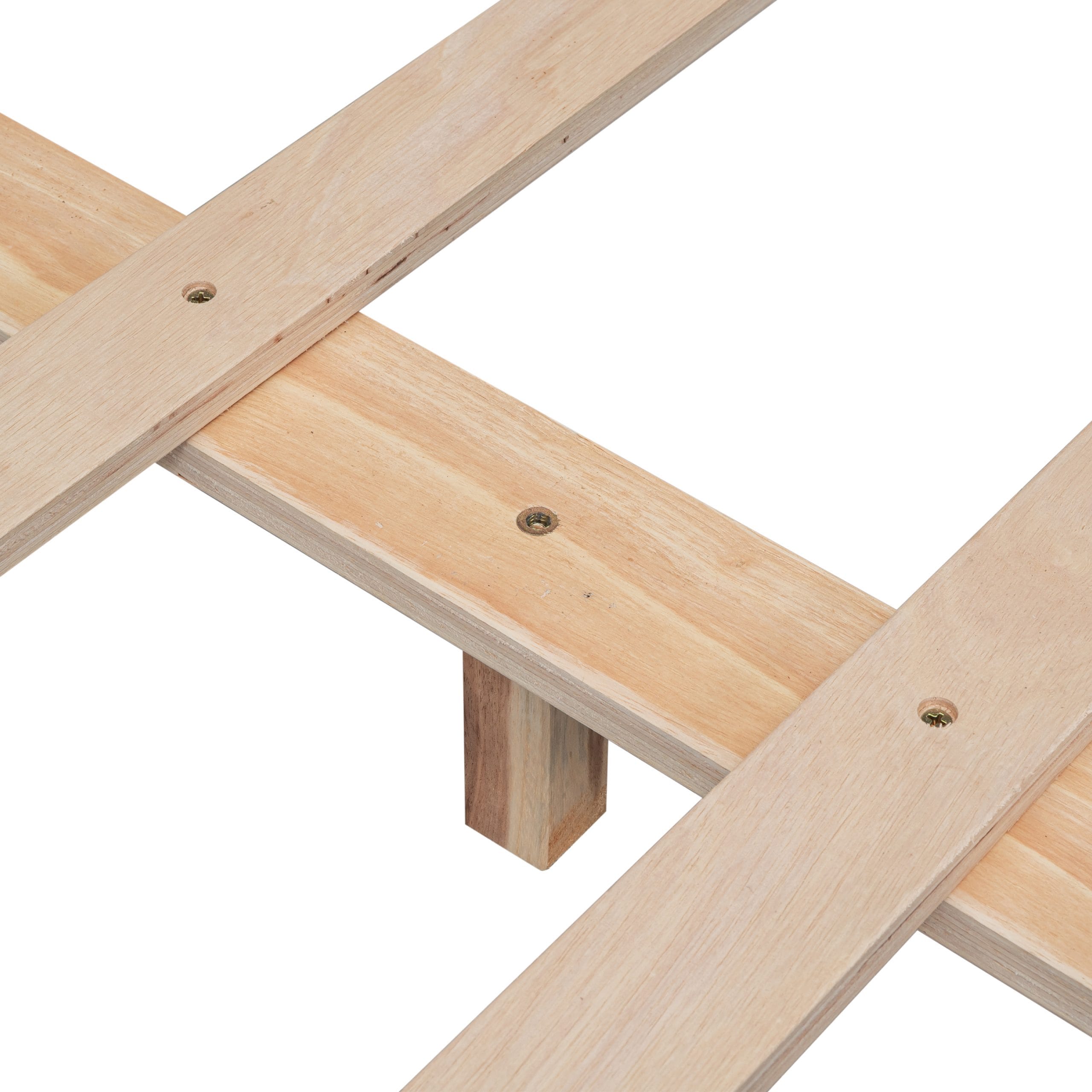 20231123 0878a53e64abaf6e968c253883c24857 scaled