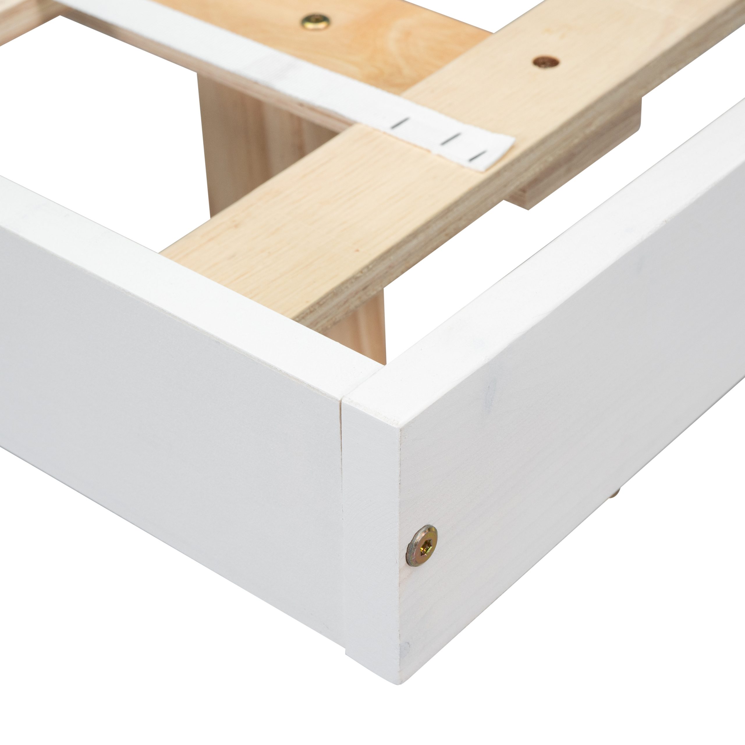 20231008 e3064ca8cef46f8dc6707cb514844c4b scaled