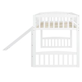 Twin Size Loft Bed With Slide And Ladder