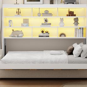 Queen Size Murphy Cabinet Bed with Folding Sofa,Built-in Storage Shelves and LED Light
