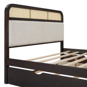 Queen Size Wooden Platform Bed With Trundle And 2 Drawers