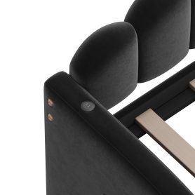 Twin Size Upholstered Daybed With Trundle , USB Charging Ports