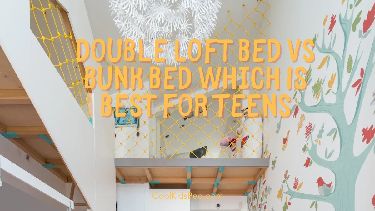 Double Loft Bed vs Bunk Bed Which Is Best for Teens 1 Double Loft Bed vs Bunk Bed Which Is Best for Teens