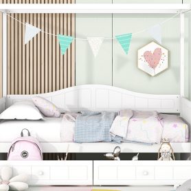 Twin Size Canopy Day Bed with 2 Drawers