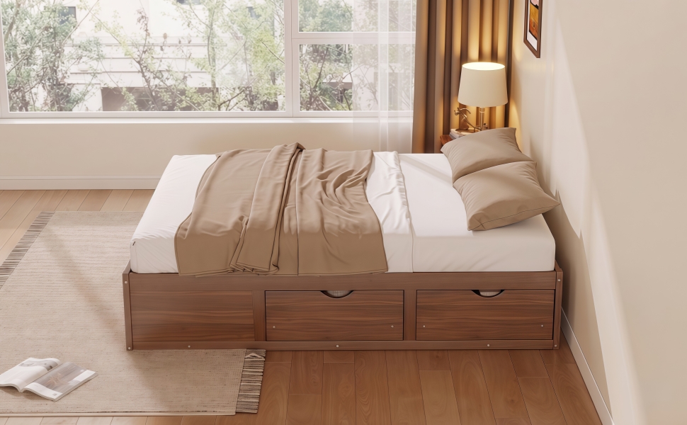 Queen Size Platform Bed with 6 Storage Drawers