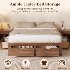 Queen Size Platform Bed with 6 Storage Drawers