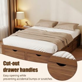 Queen Size Platform Bed with 6 Storage Drawers
