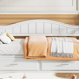 Wooden Twin Size Daybed with Twin Size Trundle